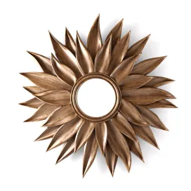 The mirror in the frame Nouveau Peony